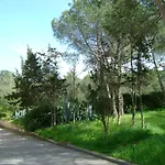 Maraviglios