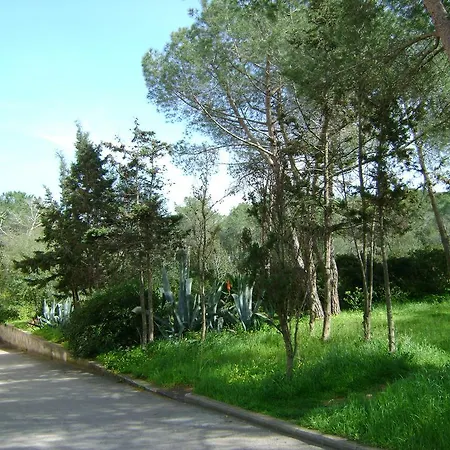 Maraviglios