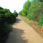 Maraviglios Alghero